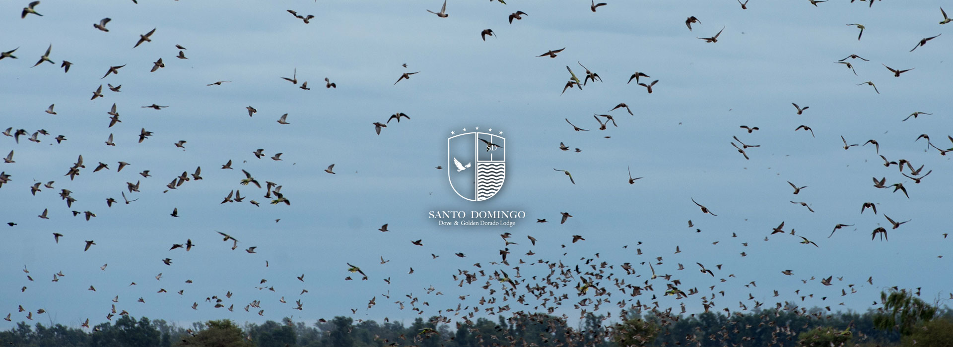 TEO | Santo Domingo - Argentina